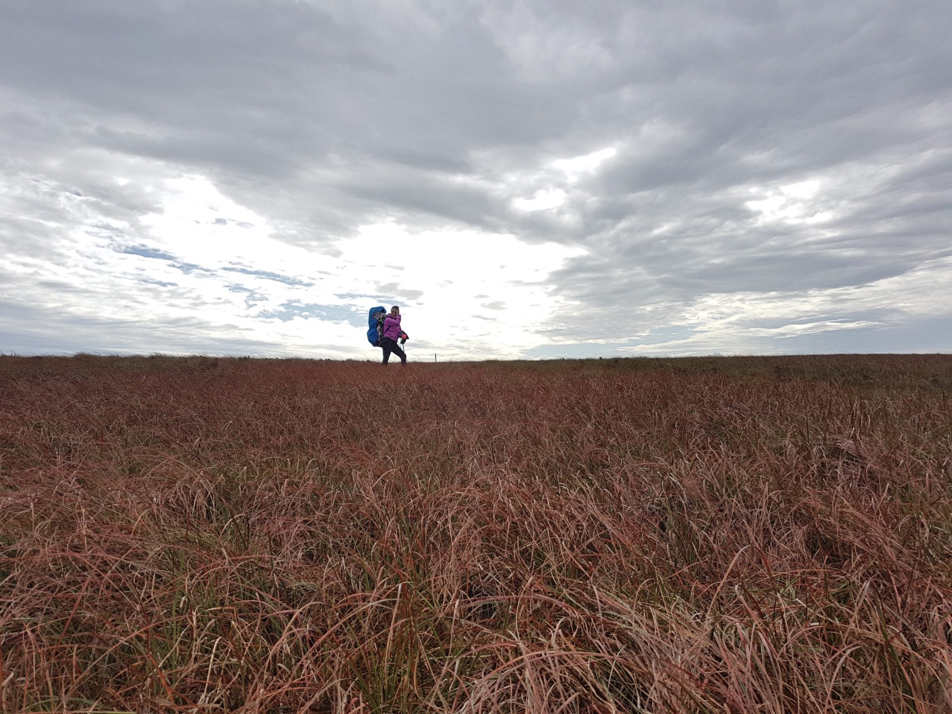 laois hikes