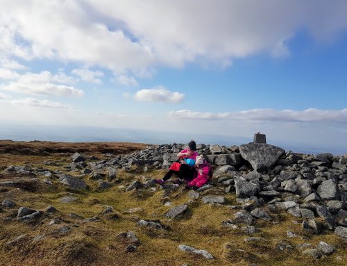 Mount Leinster–County High Point Wexford & Carlow