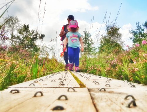 Abbeyleix Bog Walk Laois