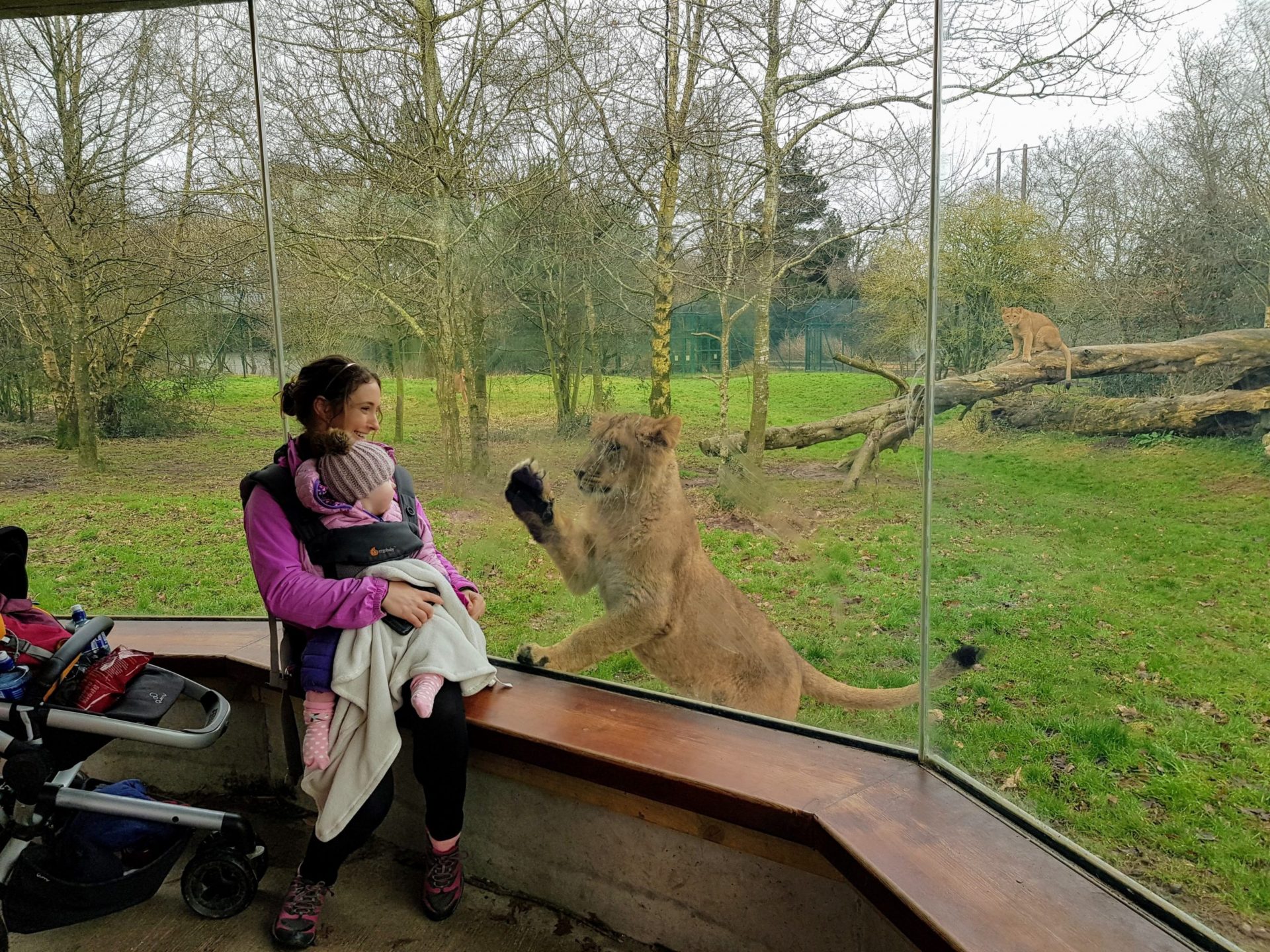 fota island Family Holiday in Cobh Cork