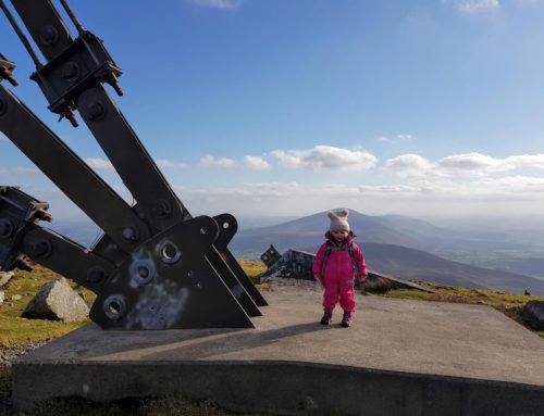 10 Best Family Walks in Wexford