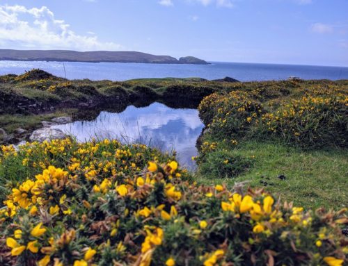 Dursey Island & Glengarriff- Day 2- Make a break for it campaign