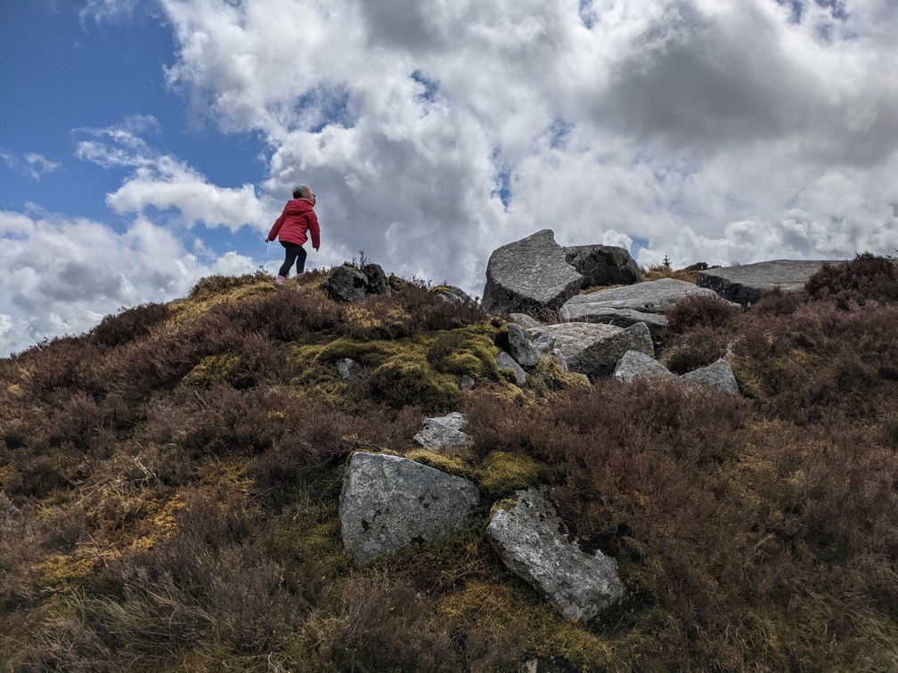 wicklow kids hiking