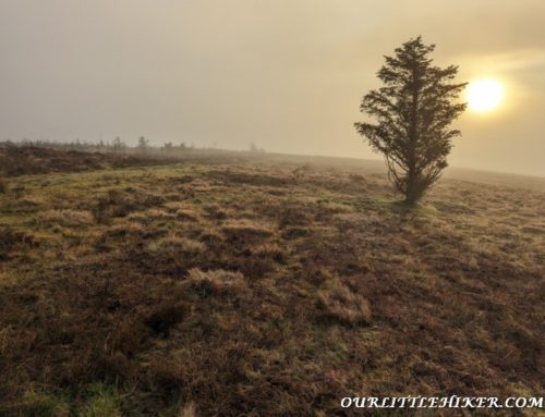 keadeen (Céidín) Mountain Wicklow